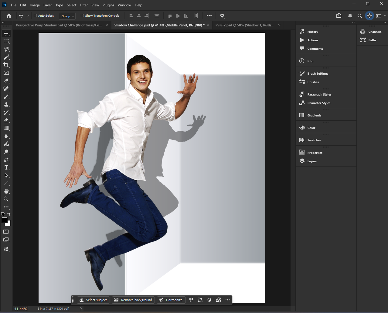 Design Project